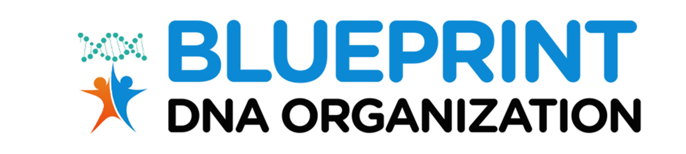 Blueprint DNA Organization